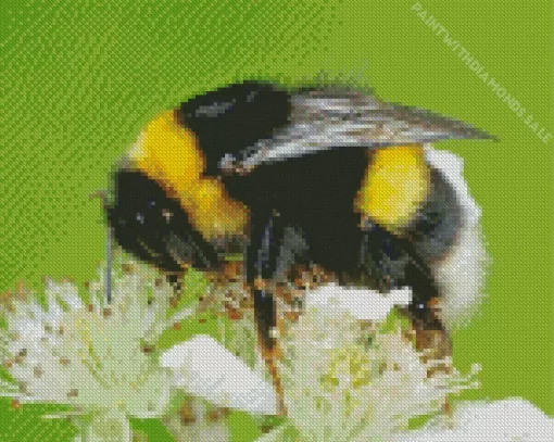 The Life Of Bumblebees Diamond Painting