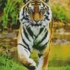 Tiger Diamond Painting