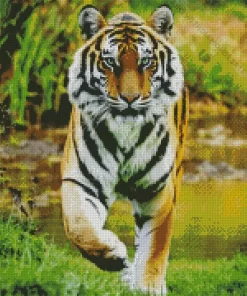 Tiger Diamond Painting