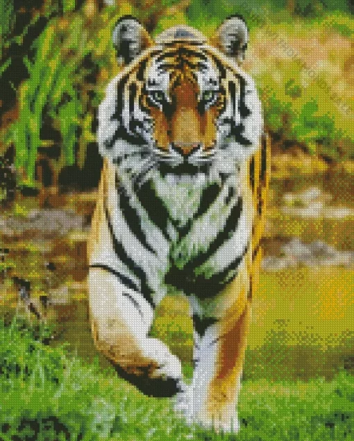 Tiger Diamond Painting