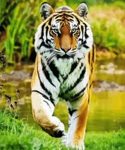 Tiger Diamond Painting