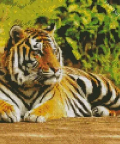 Tiger Animal Diamond Painting