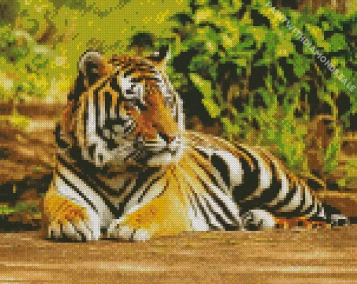 Tiger Animal Diamond Painting