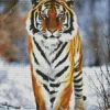 Tiger In Snow Diamond Painting