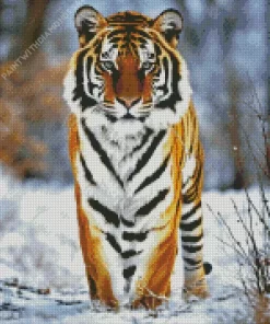 Tiger In Snow Diamond Painting