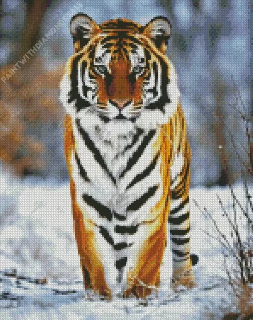 Tiger In Snow Diamond Painting