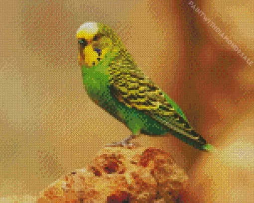 Tiny Budgie Diamond Painting