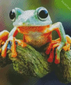 Tree Frog Diamond Painting