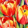 Tulips Flower Art Diamond Painting