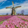 Tulips In Amsterdam Diamond Painting