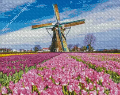 Tulips In Amsterdam Diamond Painting