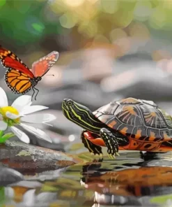 Turtle And Butterfly Diamond Painting