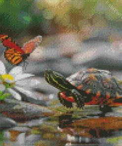 Turtle And Butterfly Diamond Painting