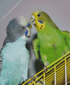 Two Budgie Birds Diamond Painting