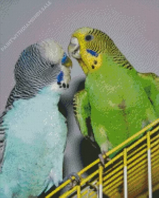 Two Budgie Birds Diamond Painting