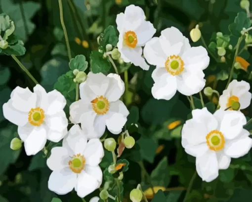 White Anemone Flower Diamond Painting