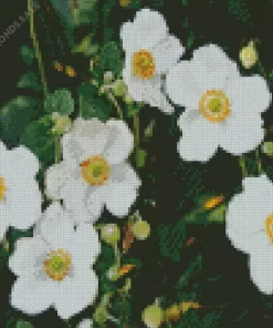 White Anemone Flower Diamond Painting