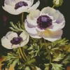 White Anemone Flowers Diamond Painting