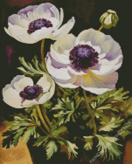 White Anemone Flowers Diamond Painting