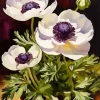 White Anemone Flowers Diamond Painting