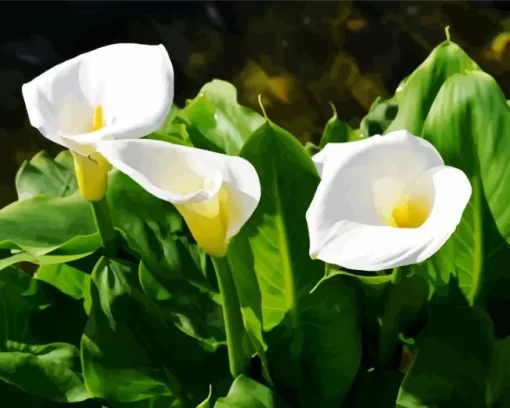 White Carpet Border Lilies Diamond Painting