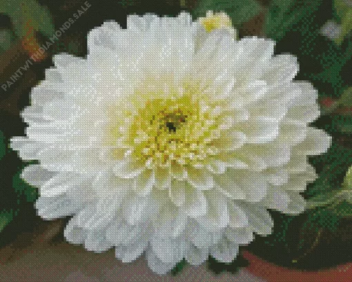 White Chrysanthemum Diamond Painting