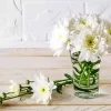 White Chrysanthemum Vase Diamond Painting