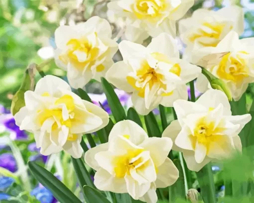 White Double Daffodils Diamond Painting