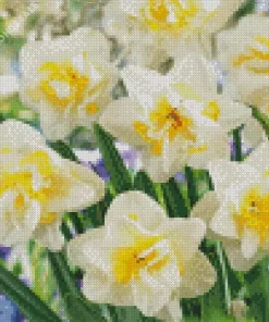 White Double Daffodils Diamond Painting