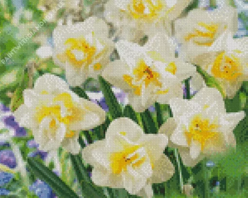 White Double Daffodils Diamond Painting