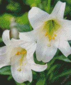 White Easter Lilies Diamond Painting