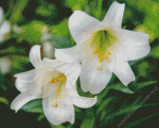 White Easter Lilies Diamond Painting