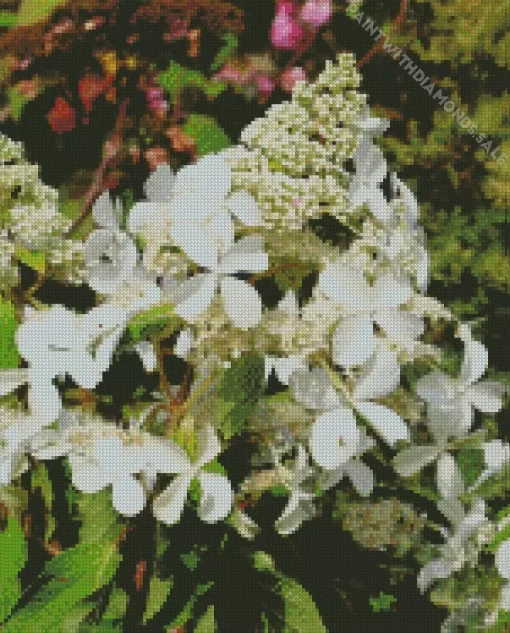 White Hydrangea Paniculata Diamond Painting