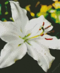 White Lilies Diamond Painting