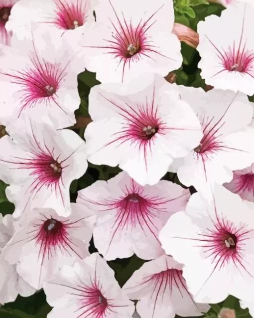 White Petunia Flowers Diamond Painting