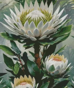 White Proteas Diamond Painting