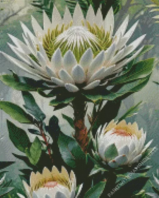 White Proteas Diamond Painting