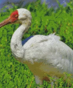 White Siberian Crane Diamond Painting