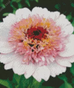 White And Pink Zinnia Flower Diamond Painting