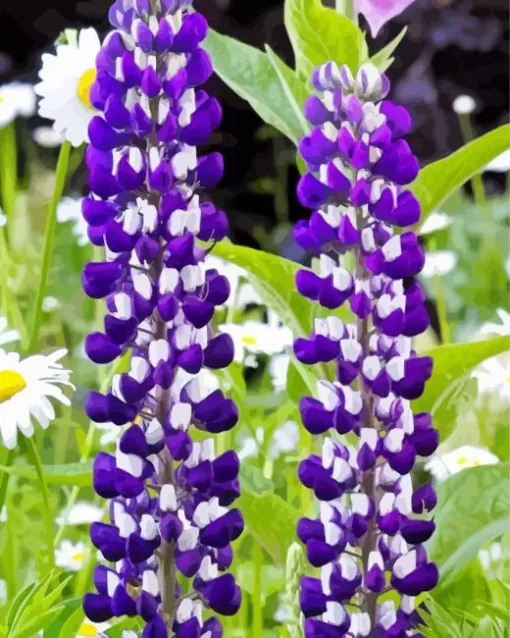 White And Purple Lupines Diamond Painting