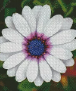 White Cape Daisy Diamond Painting