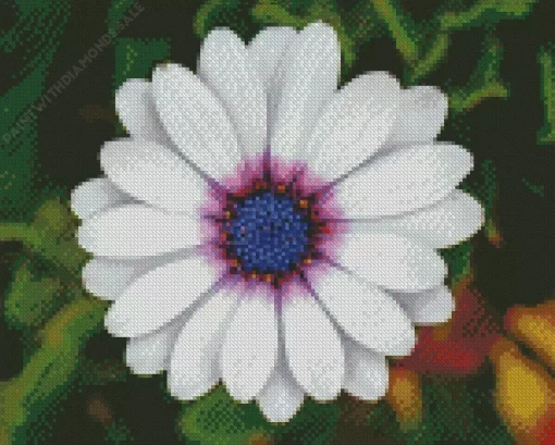 White Cape Daisy Diamond Painting