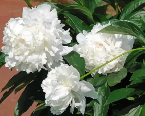 White Peonies Diamond Painting