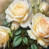 White Roses Art Diamond Painting