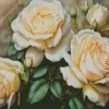 White Roses Art Diamond Painting