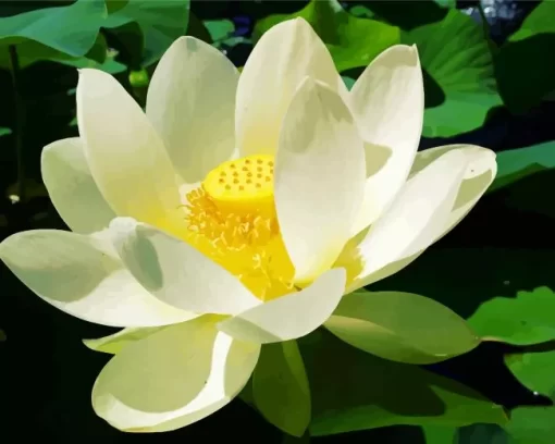 White Sacred Lotus Diamond Painting