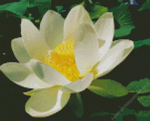 White Sacred Lotus Diamond Painting