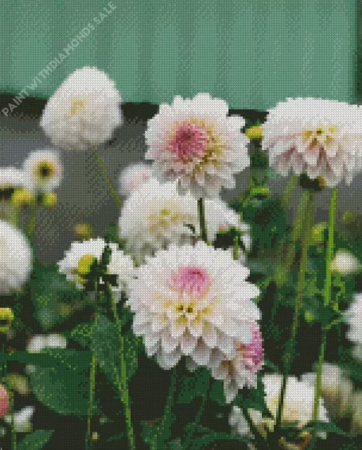 White Stellar Dahlias Diamond Painting