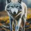 White Wolf Diamond Painting