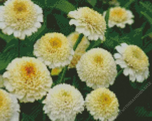 White Zinderella Zinnia Diamond Painting